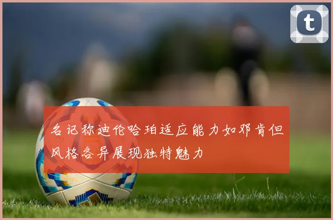 名记称迪伦哈珀适应能力如邓肯但风格各异展现独特魅力