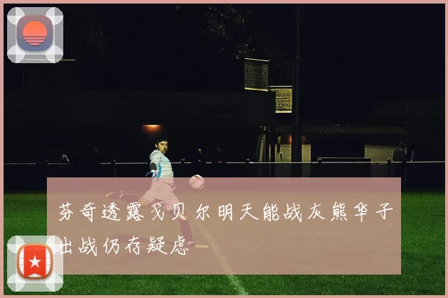 芬奇透露戈贝尔明天能战灰熊华子出战仍存疑虑