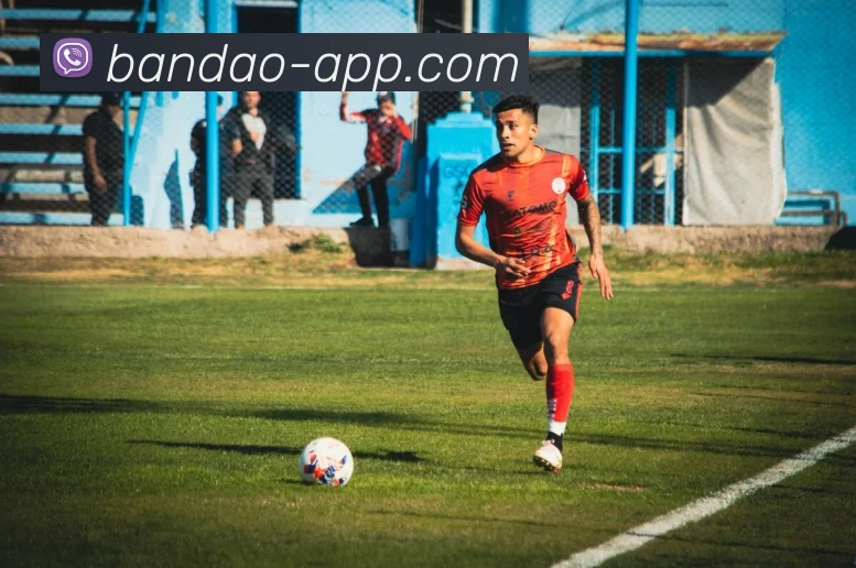 半岛体育APP 封面图