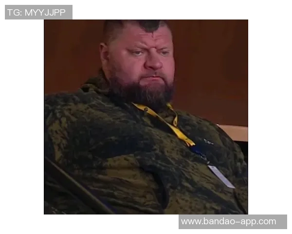 约基奇大哥因湖掘大战后事件承认指控获缓刑一年引发拳击球迷热议