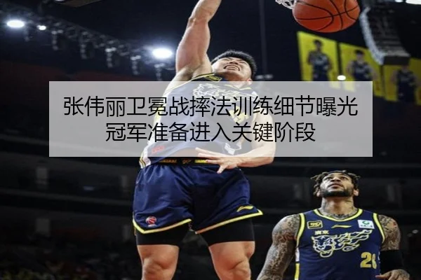 张伟丽卫冕战摔法训练细节曝光 冠军准备进入关键阶段 - bandao